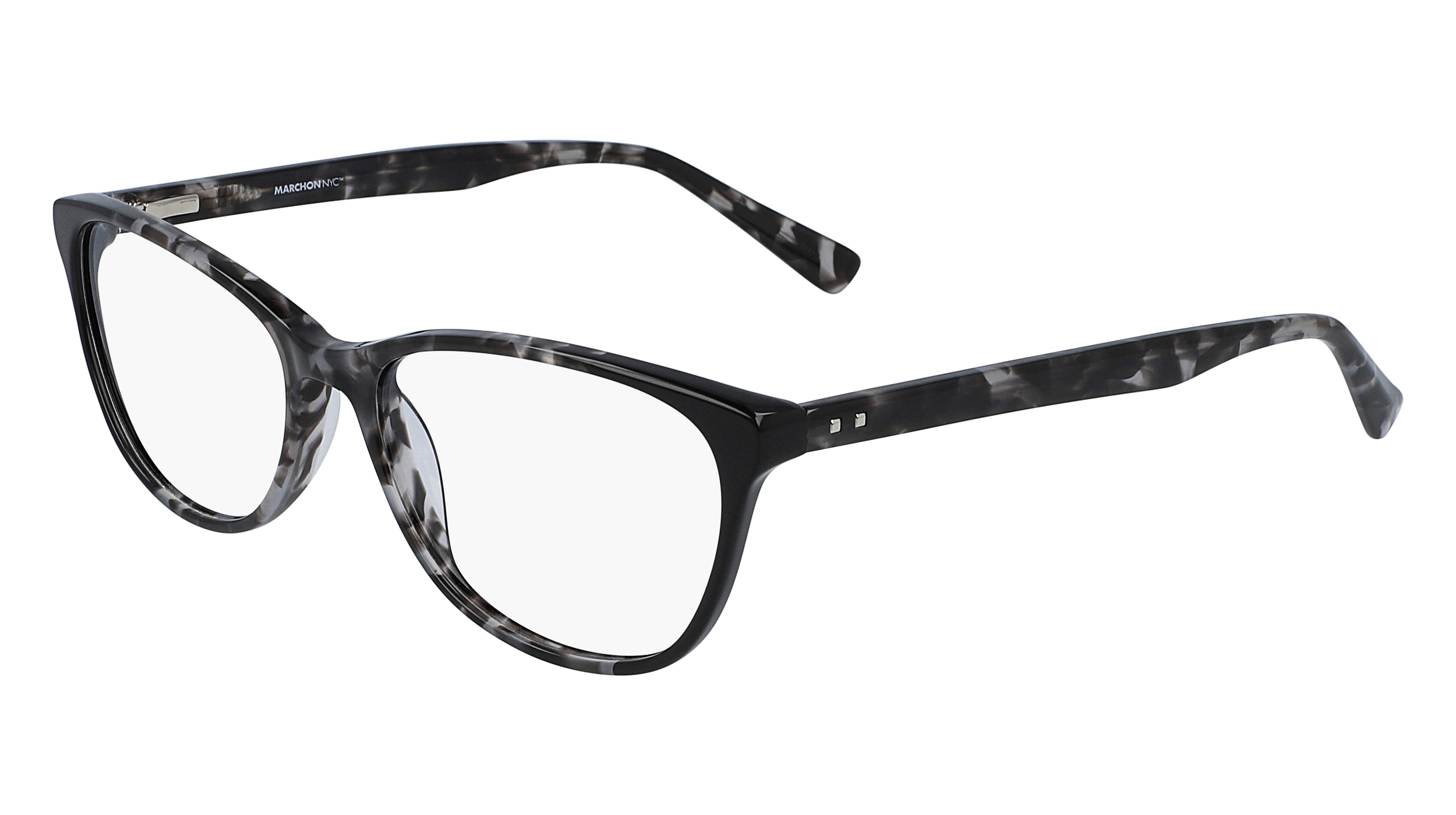 BLACK TORTOISE
