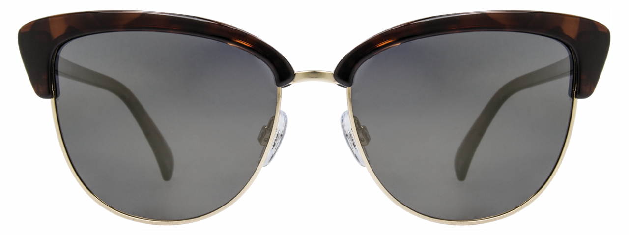Tortoise / Gold