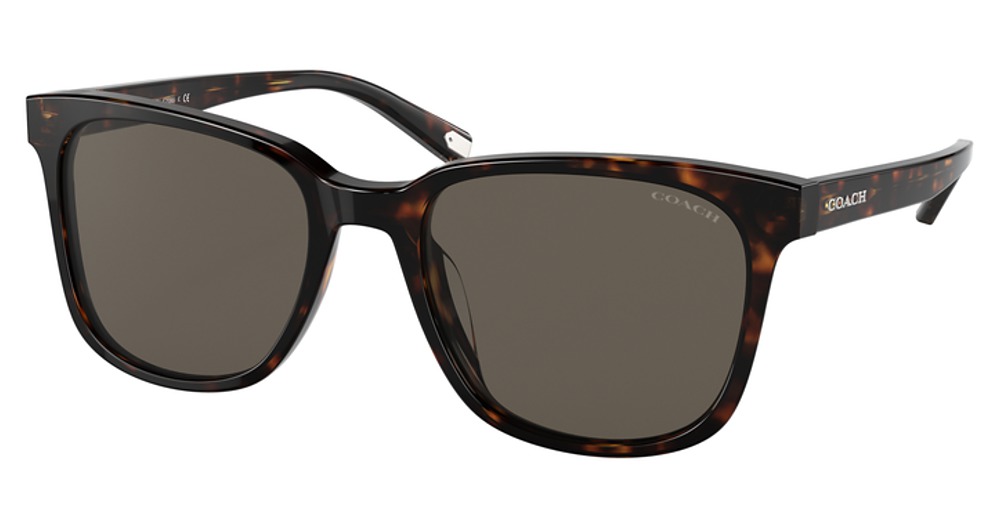 DARK TORTOISE / BROWN SOLID