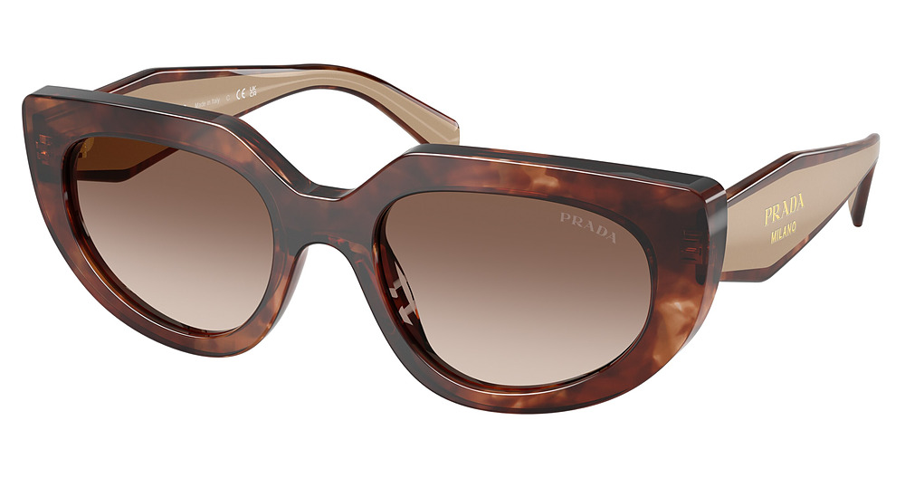 CARAMEL TORTOISE / BROWN GRADIENT