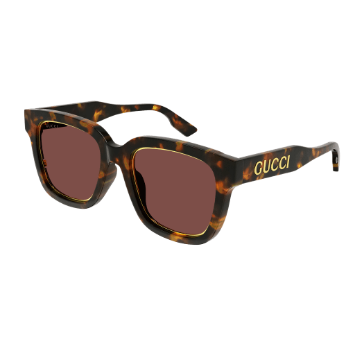Gucci GG1136SA round sunglasses in Havana Havana Brown/Brown