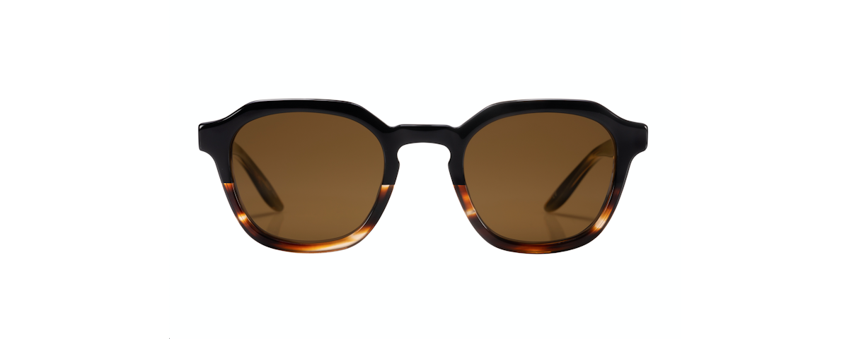 Raven Tortoise Gradient / Vintage Brown (AR)