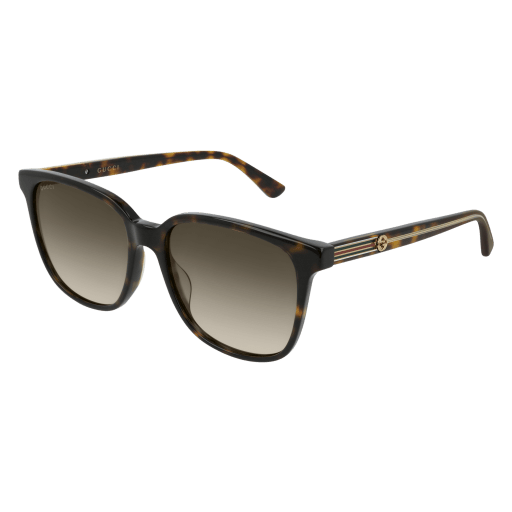 HAVANA-HAVANA-BROWN / BROWN