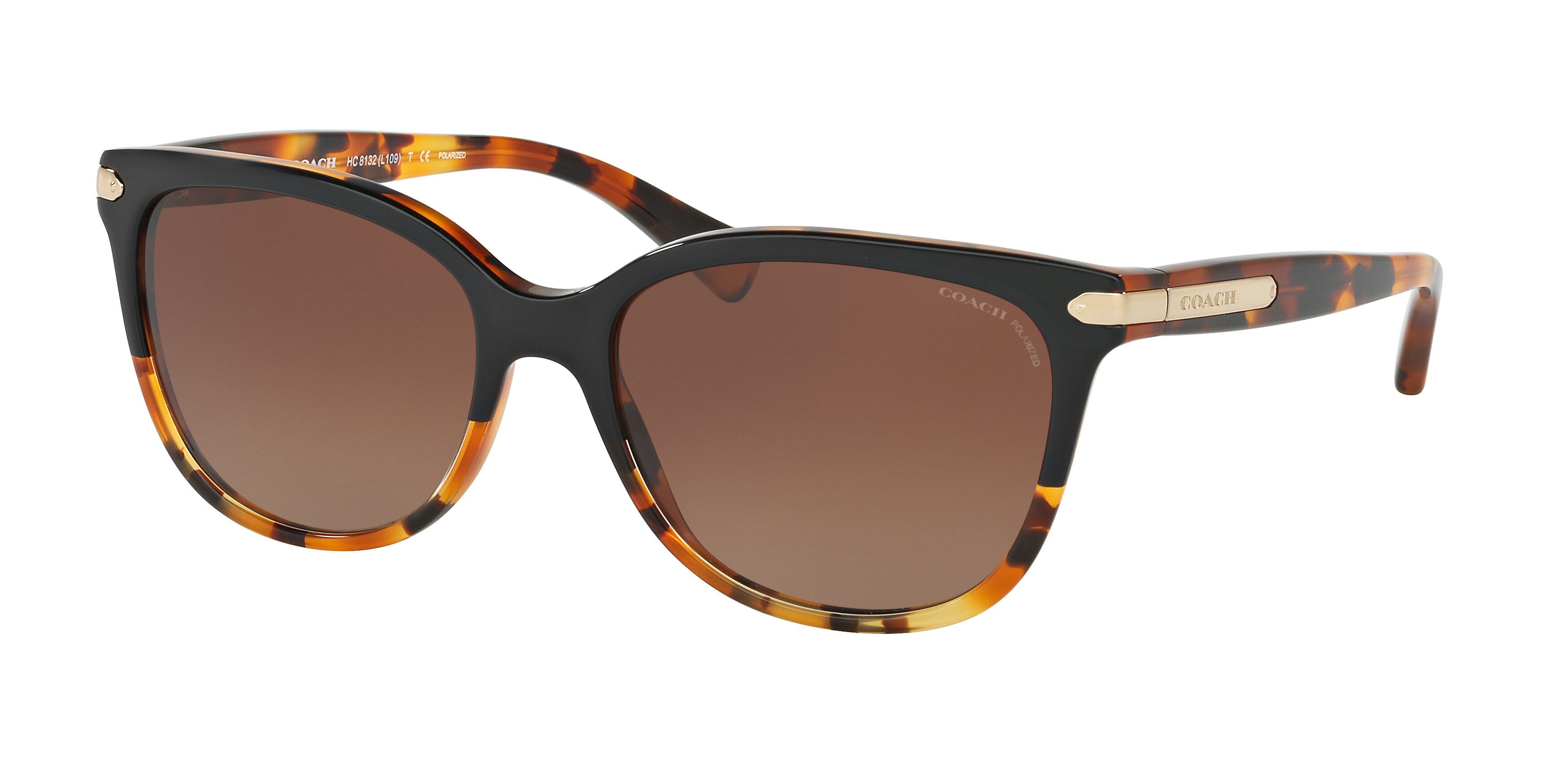 BLACK TORTOISE GRADIENT