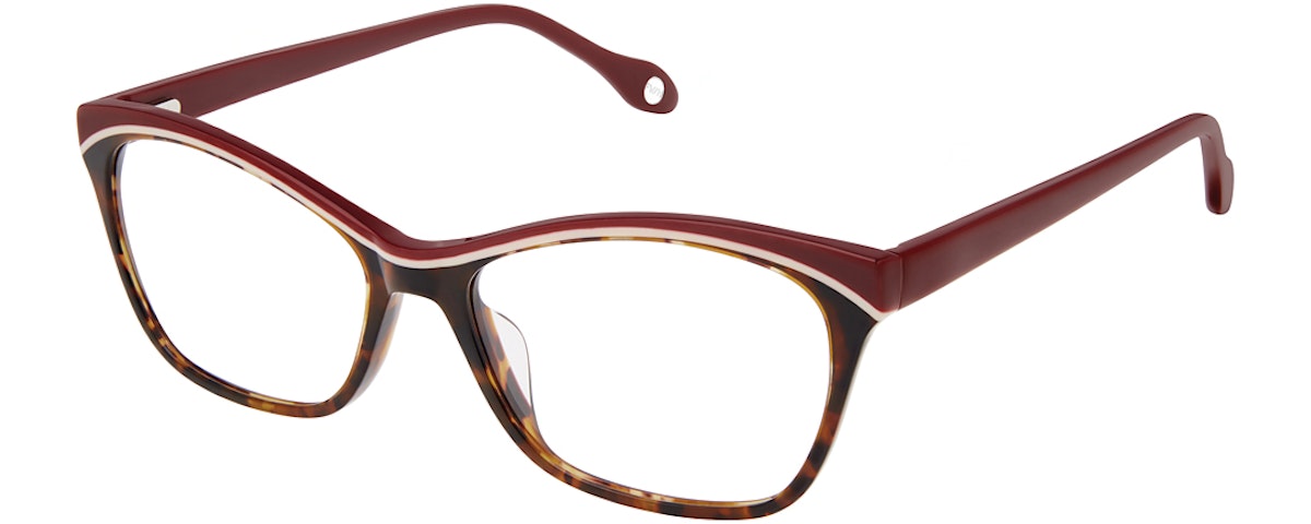 TORTOISE CHERRY