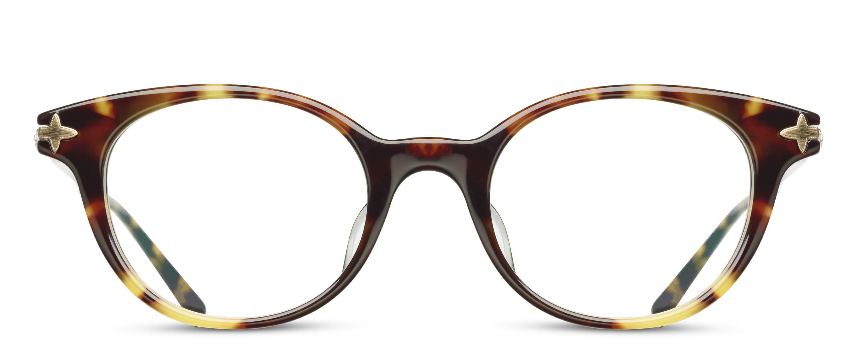 Tokyo Tortoise