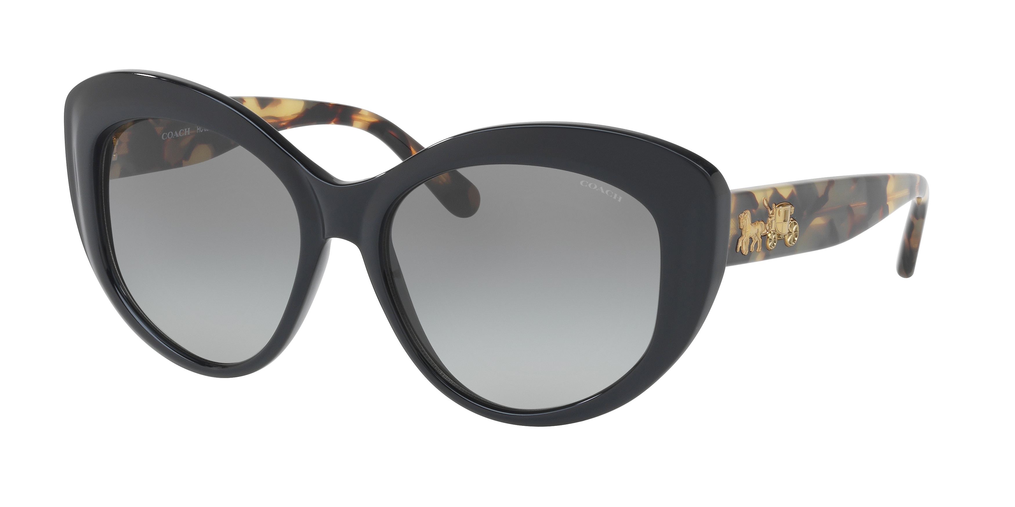 BLACK/DARK VINTAGE TORTOISE
