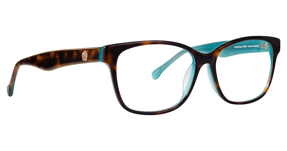 Tortoise Aqua