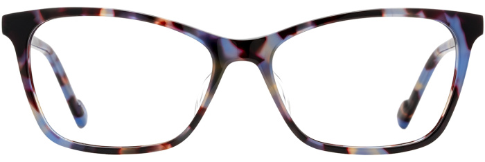 Periwinkle Tortoise