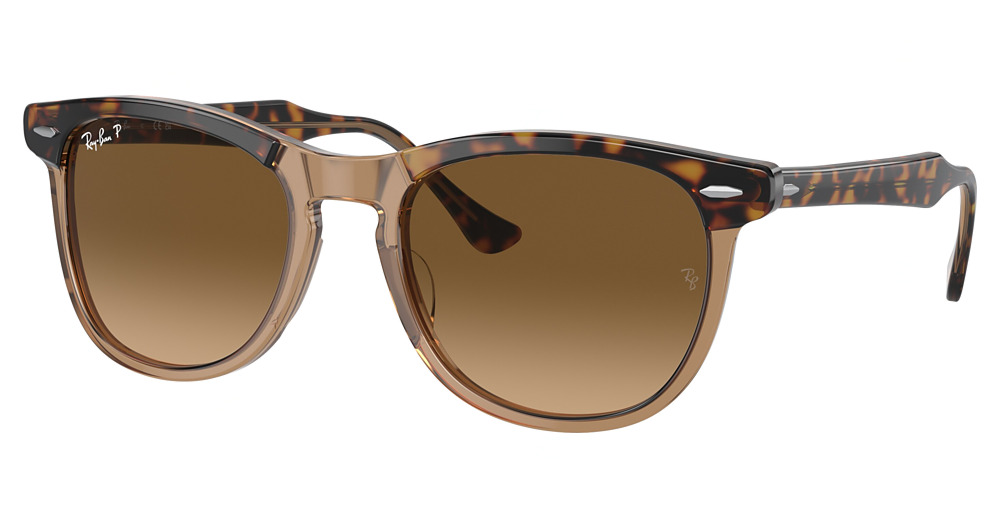 Ray-Ban RB2398F #N/D round sunglasses in Havana on Transparent Brown