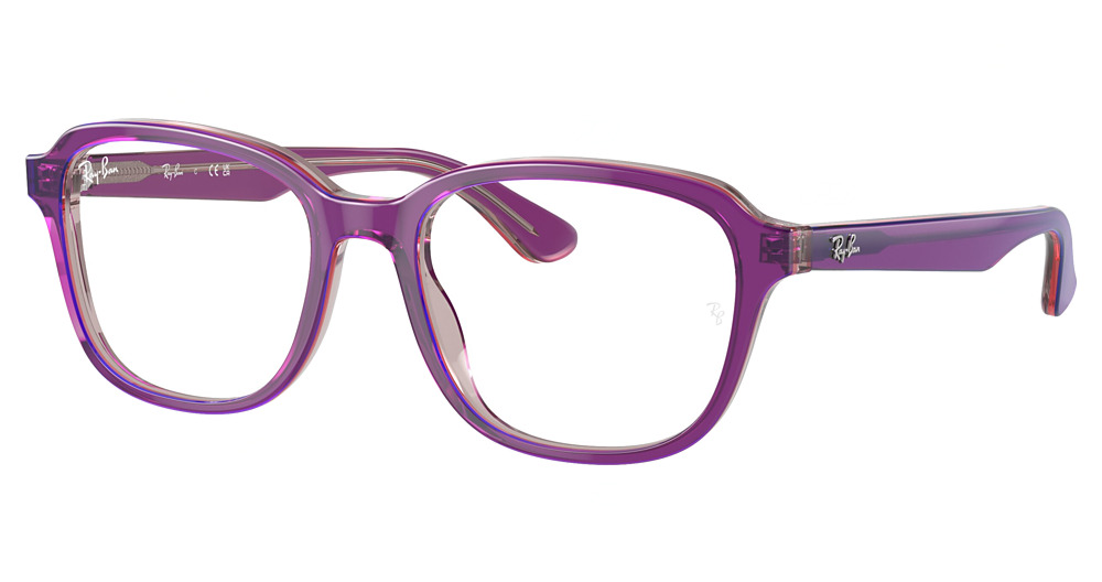 Ray-Ban RY1627 round eyeglasses in Top Purple/Pink/Beige