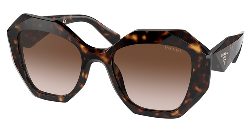 TORTOISE / BROWN GRADIENT