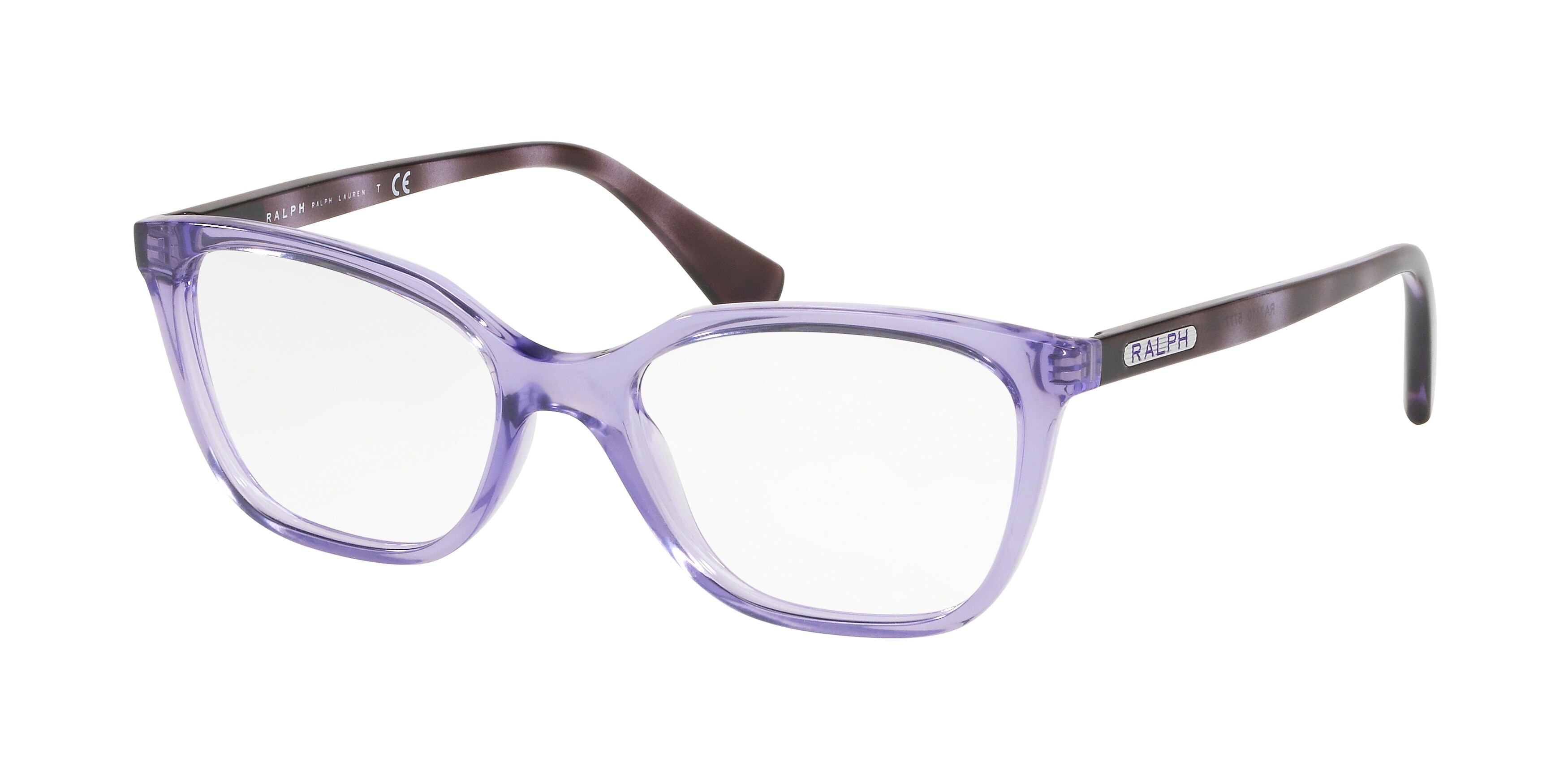 SHINY TRANSPARENT PURPLE