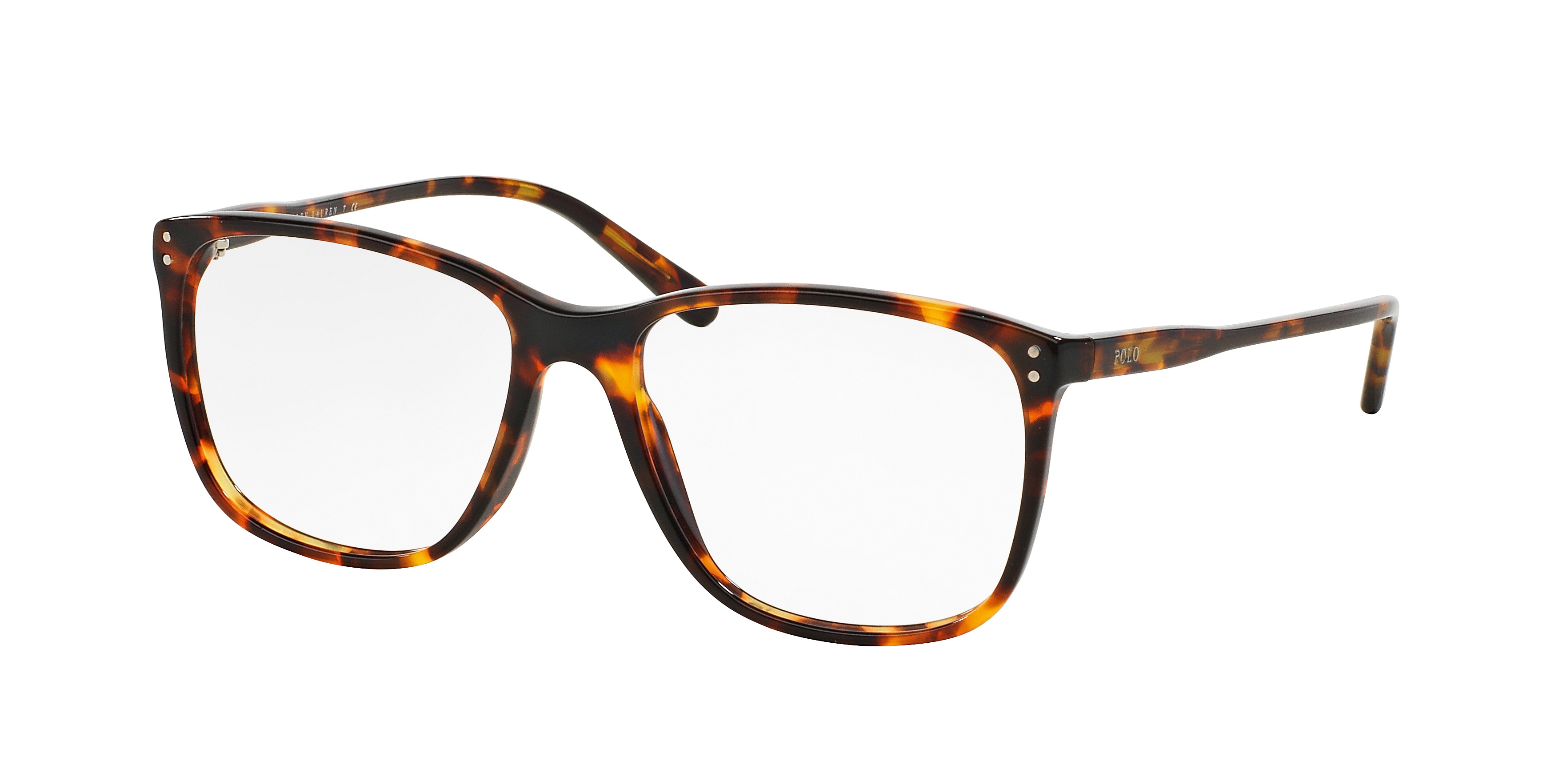 ANTIQUE TORTOISE