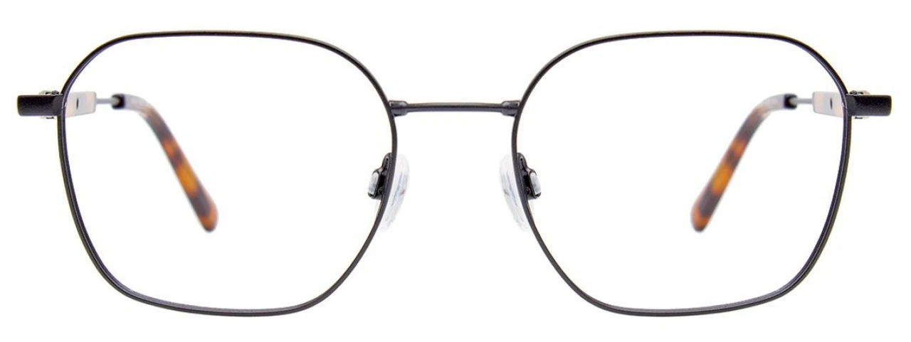 Black & Tortoise