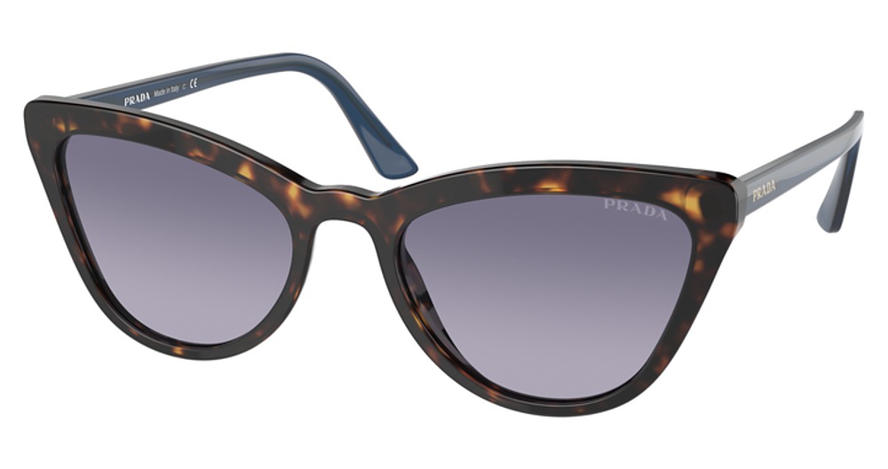 TORTOISE / LIGHT VIOLET GRADIENT BLUE