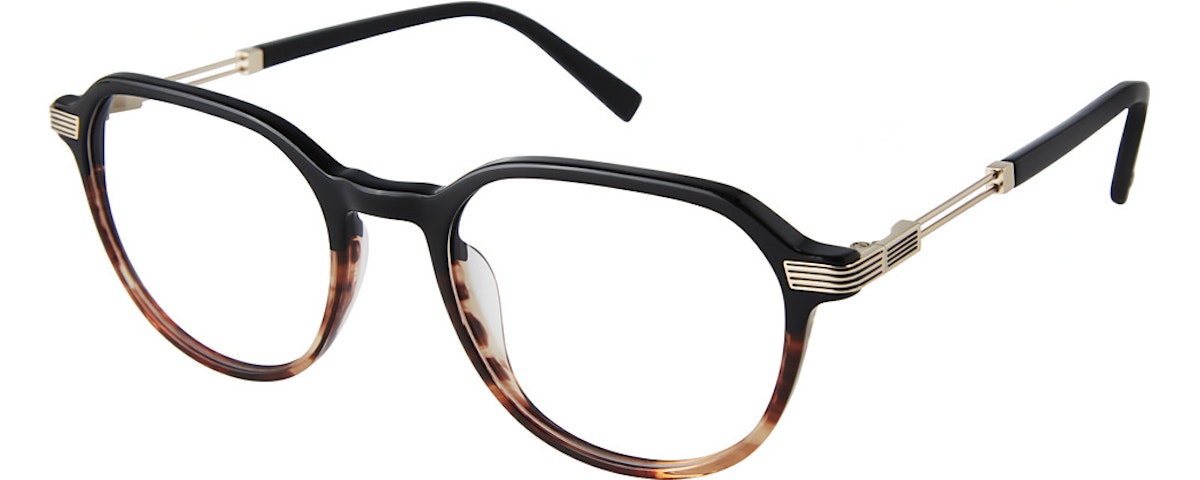 BLACK TORTOISE