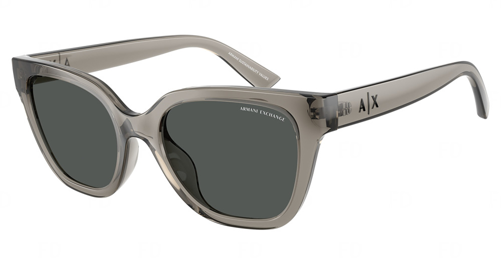 SHINY TRANSPARENT GREY / DARK GREY