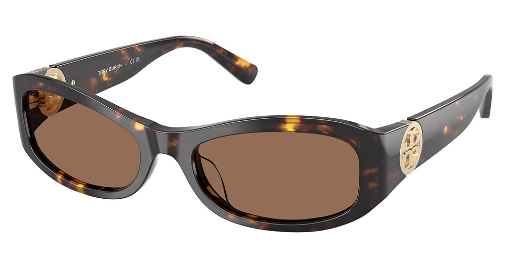 BROWN TORTOISE / BROWN