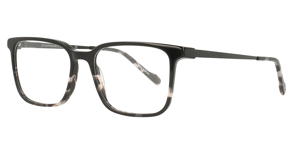 Black/Gray Tort/Black