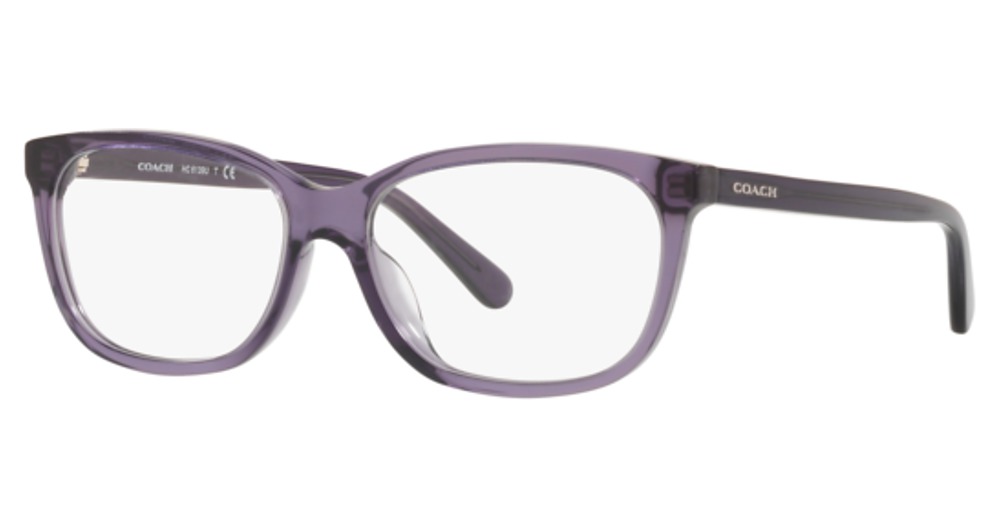 TRANSPARENT PURPLE