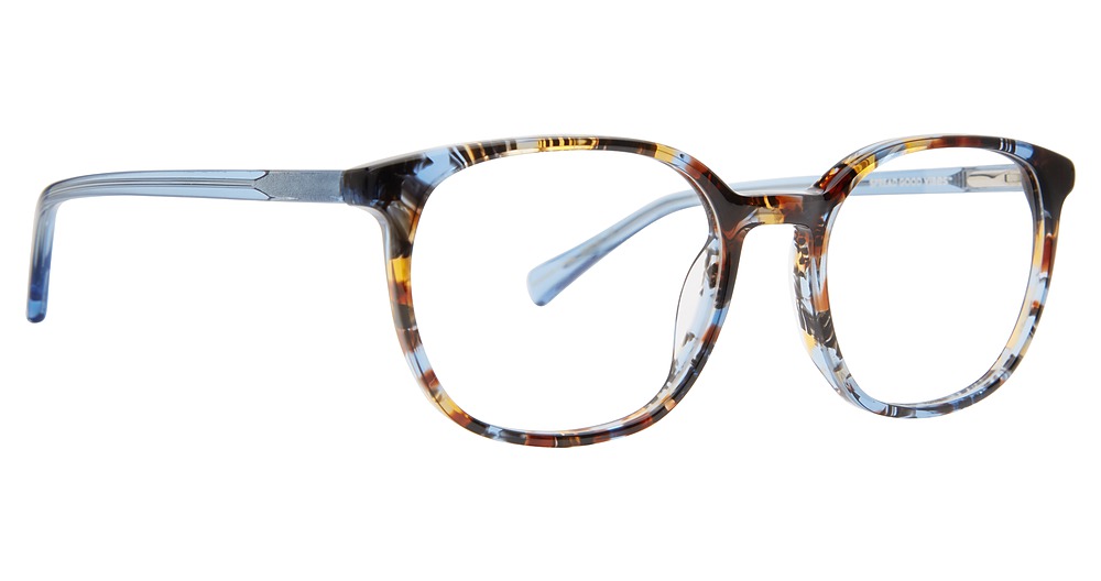 Tortoise/Blue