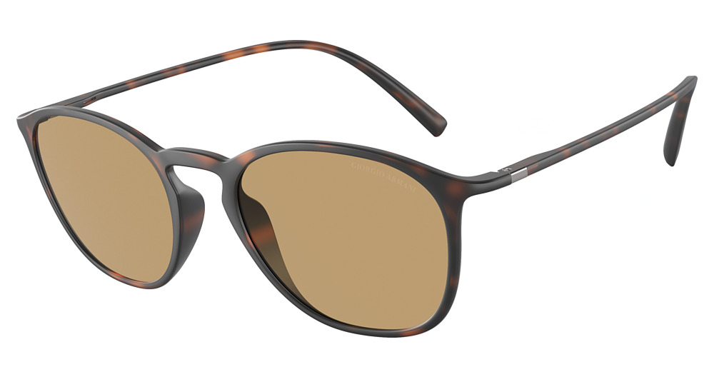 MATTE HAVANA / DARK BROWN