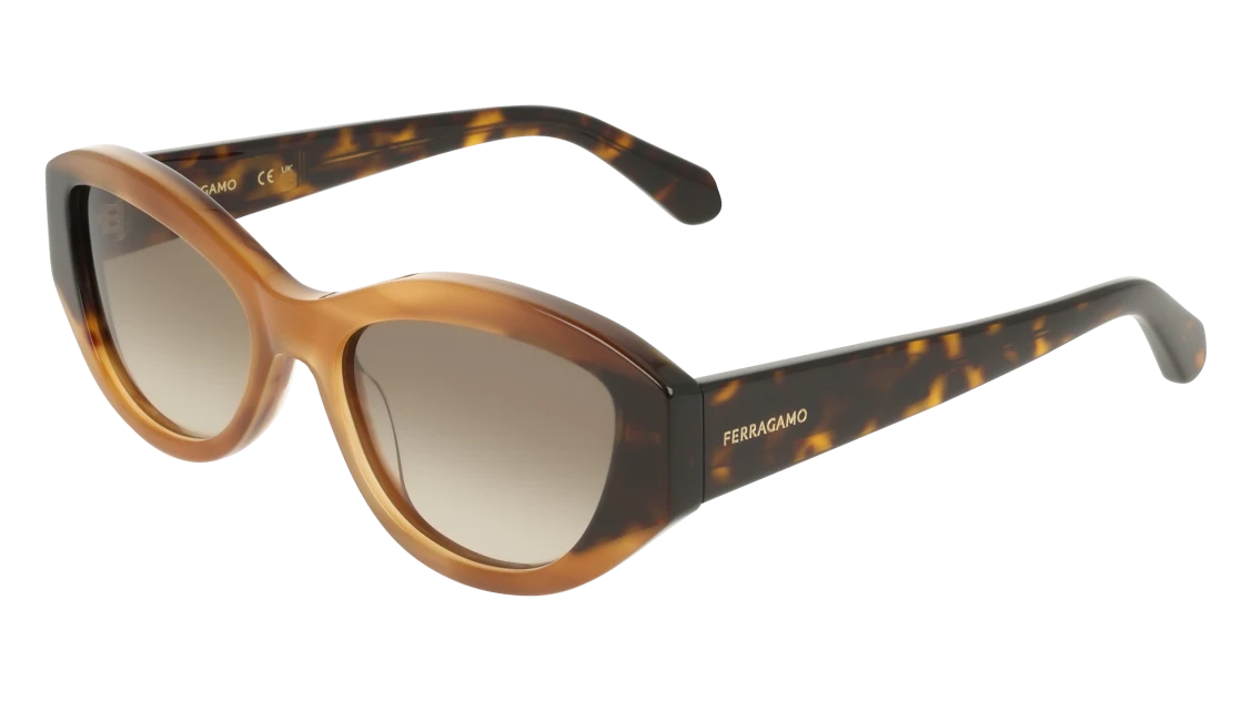 HONEY HORN/DARK TORTOISE