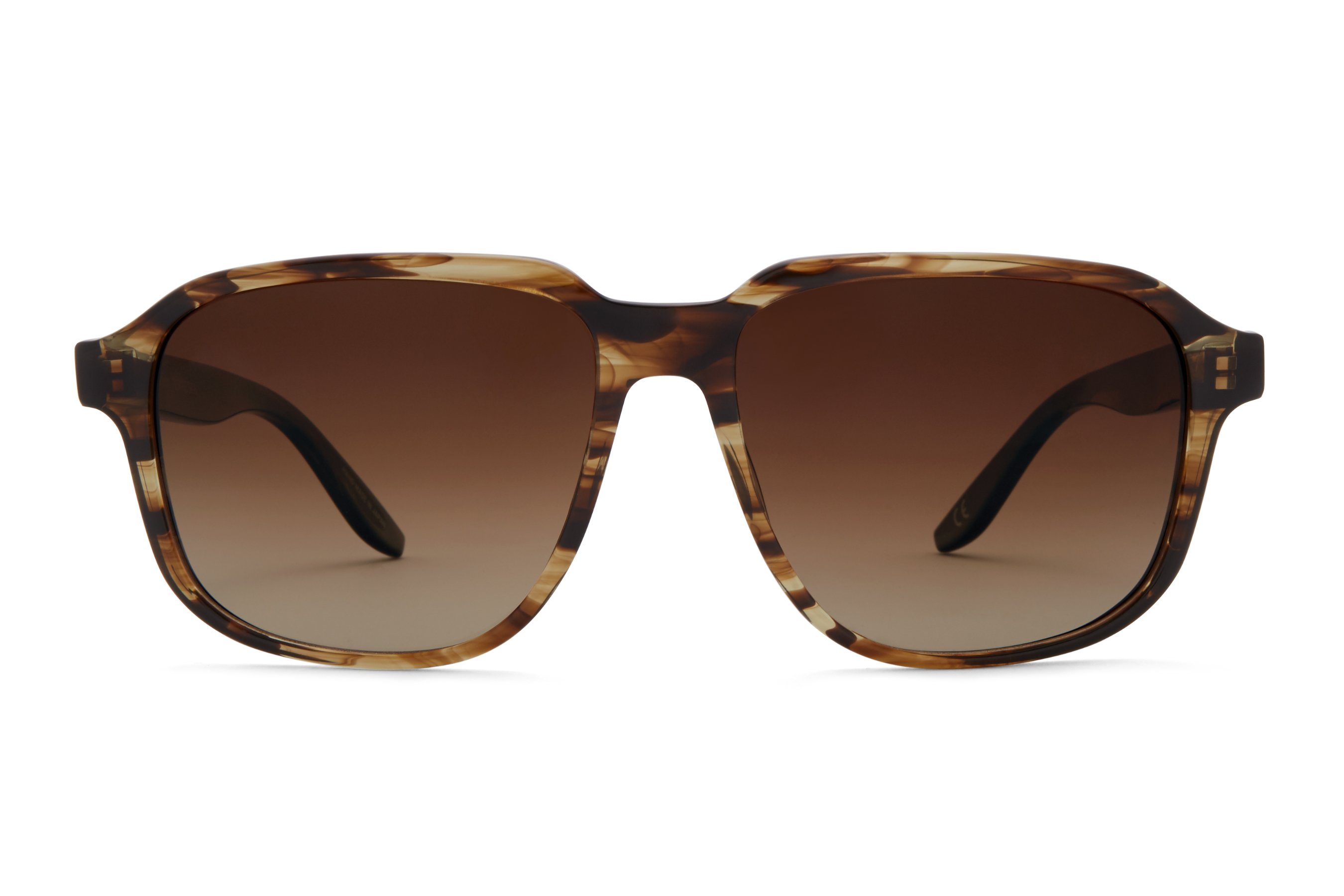 Sulcata Tortoise / Old English Polarized (AR)