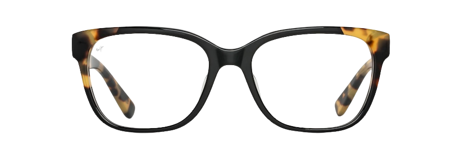 Black / Yellow Tokyo Tortoise