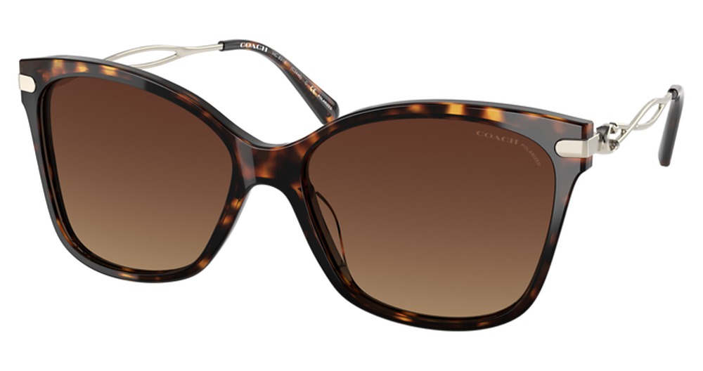 DARK TORTOISE / BROWN GRADIENT POLAR
