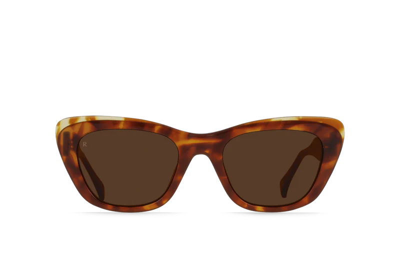 Oso Tortoise / Carob