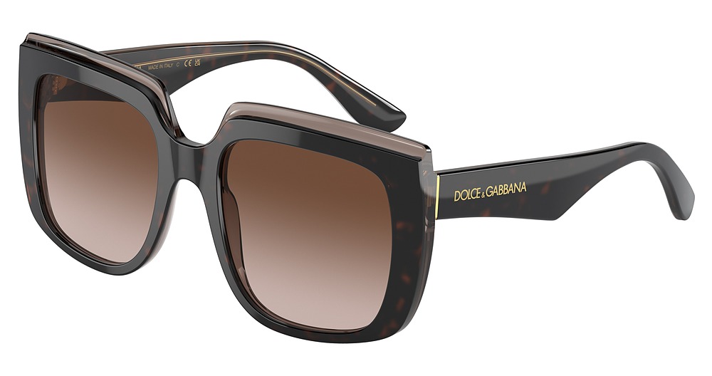 HAVANA ON TRANSPARENT BR / GRADIENT BROWN