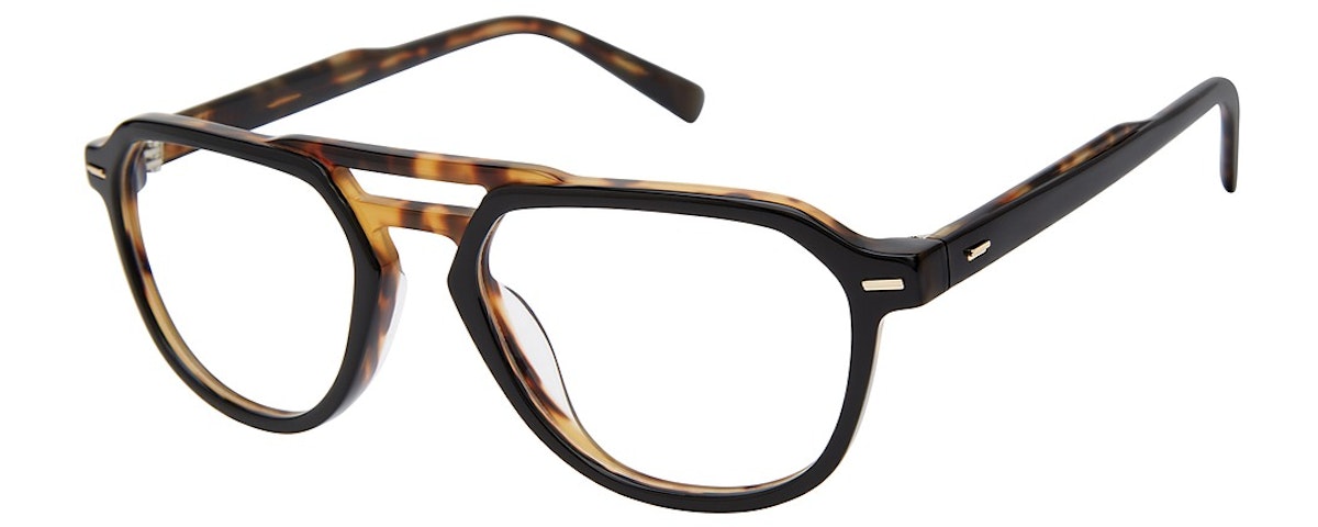 black tortoise