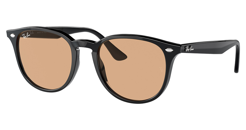 Ray-Ban RB4259F round sunglasses in Black/Brown