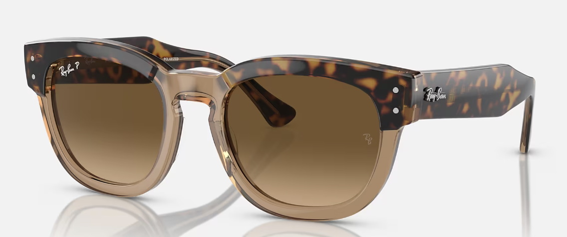 HAVANA ON TRANSPARENT BR / BROWN GRADIENT POLAR