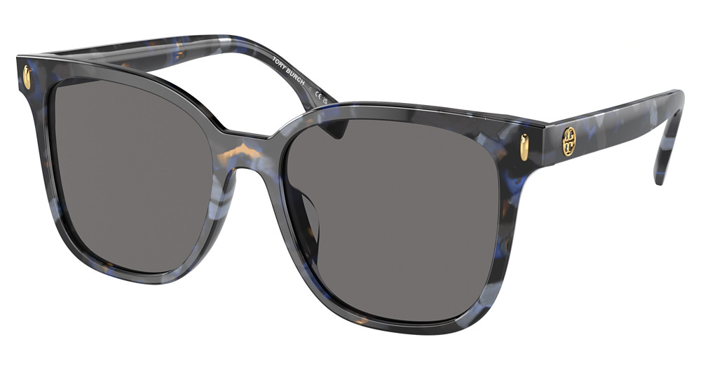BLUE TORTOISE / DARK GREY POLAR
