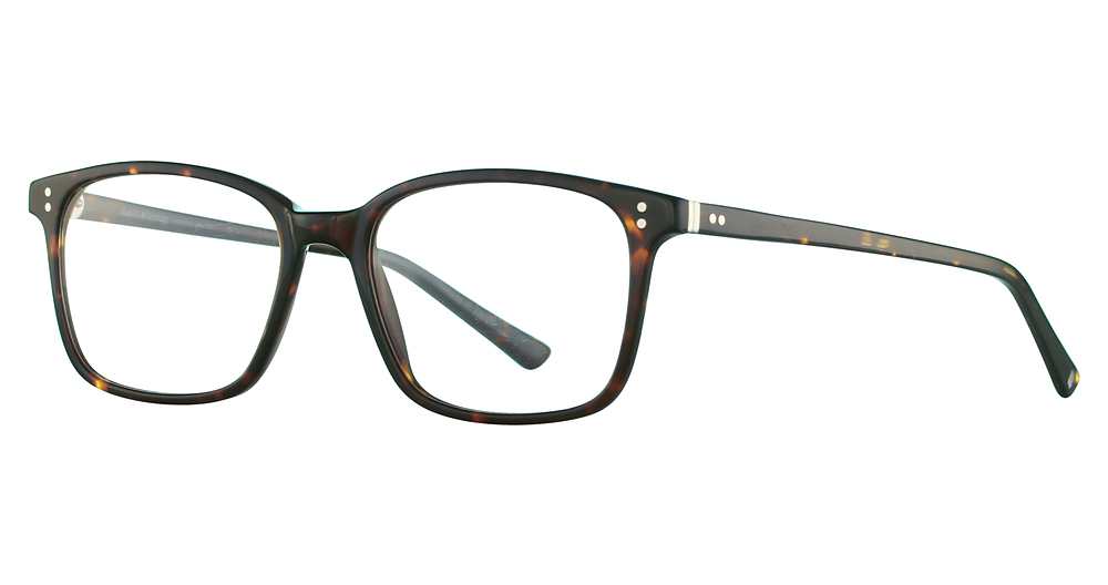 Tortoise dark shiny