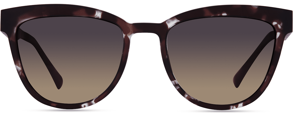 DARK PURPLE TORTOISE
