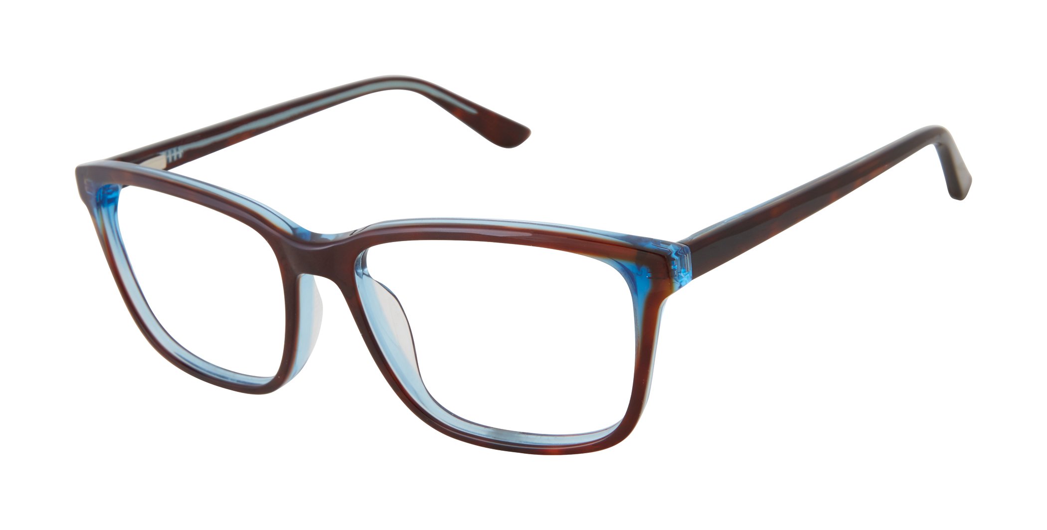 Tortoise/Blue