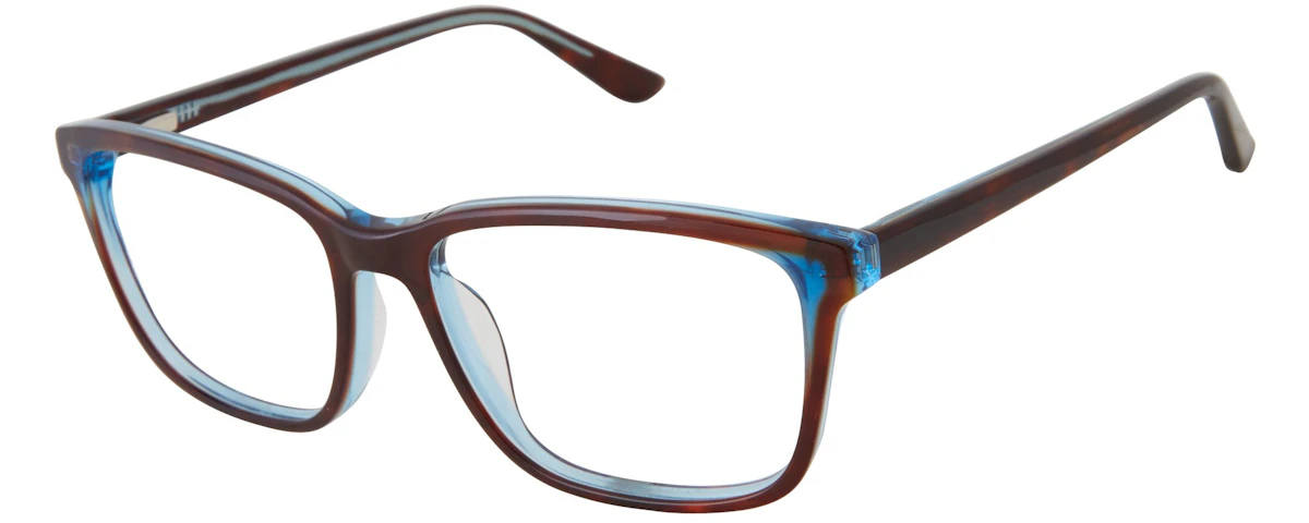 Tortoise/Blue