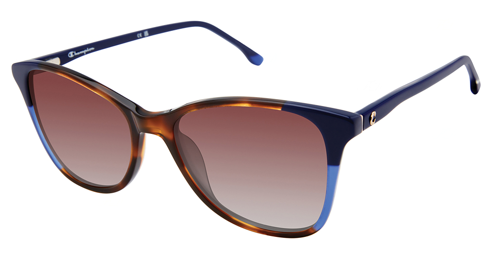 TORT/NAVY / DARK BROWN GRADIENT