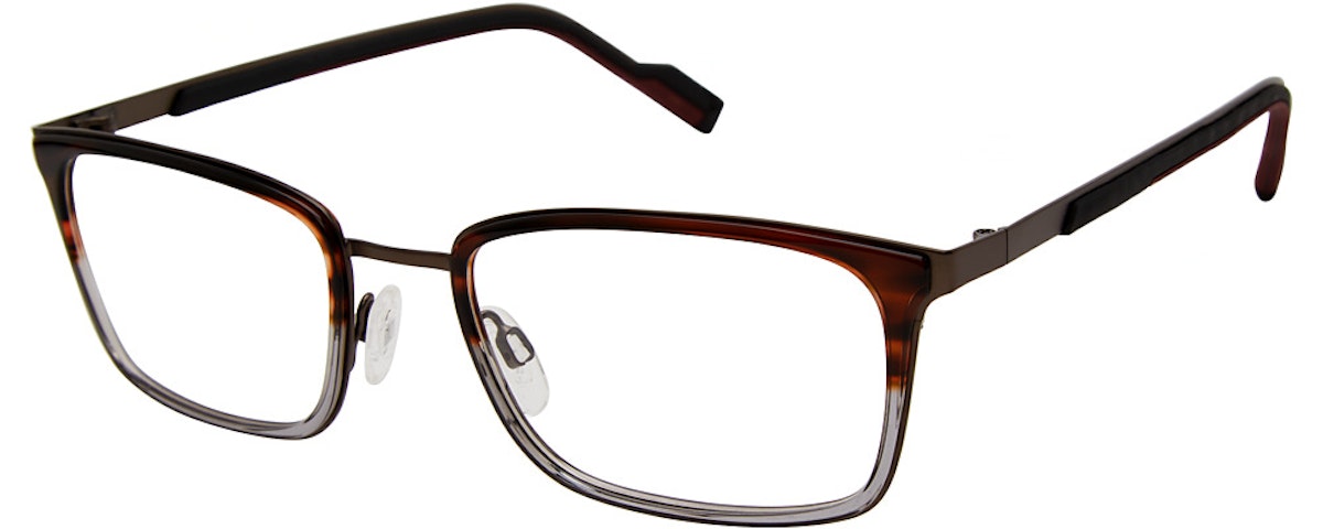 tortoise/grey