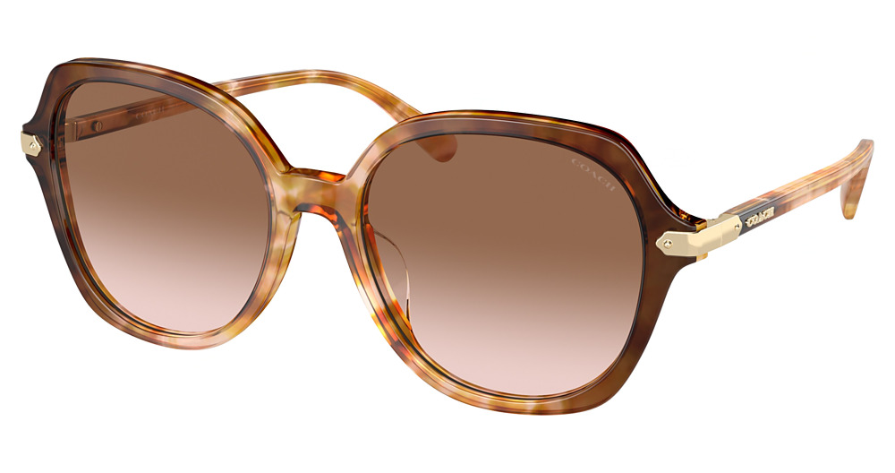 CARAMEL SNOW TORTOISE GR / BROWN PINK GRADIENT