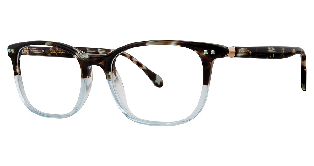 Sea Glass Tortoise