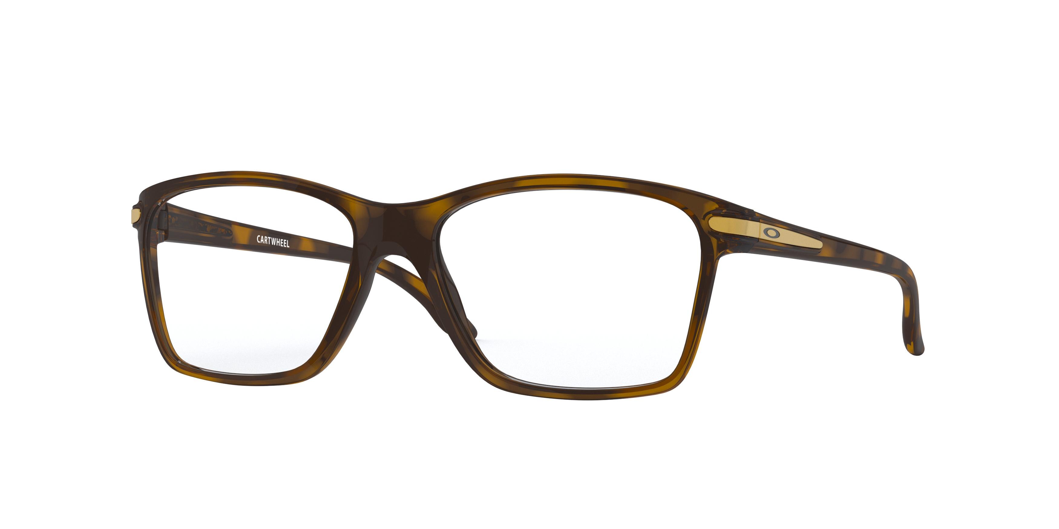 POLISHED BROWN TORTOISE