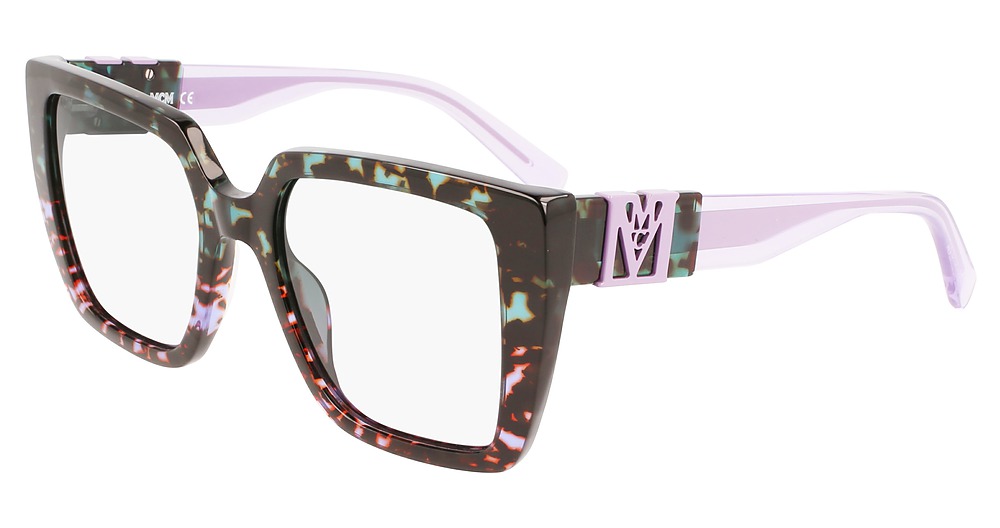 GREEN/PURPLE TORTOISE