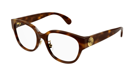 HAVANA-HAVANA-TRANSPARENT