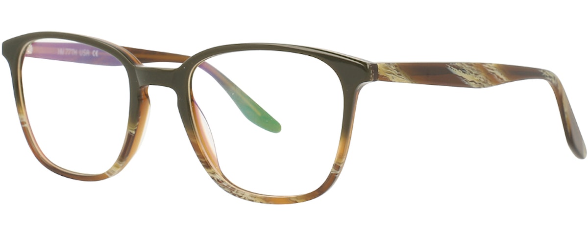 OLIVE TORTOISE