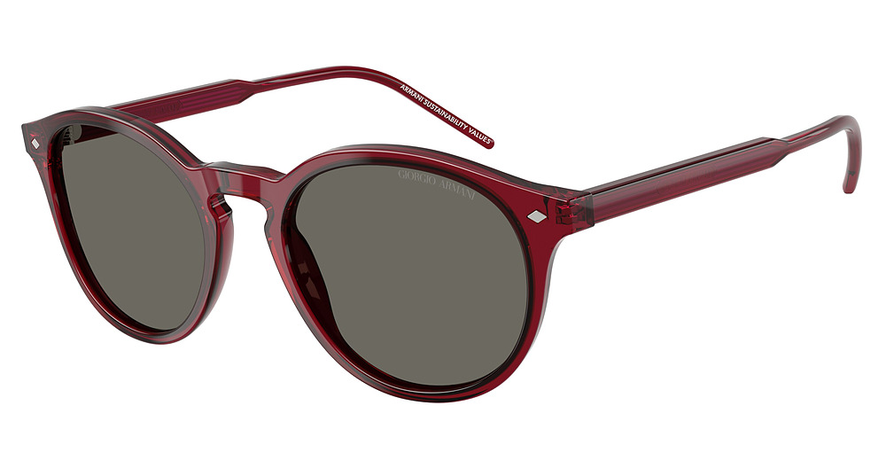 TRANSPARENT BORDEAUX / GREY